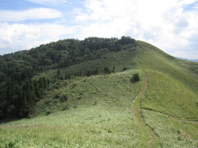 e0110940_2154591.jpg