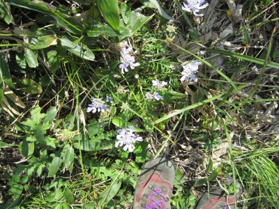 e0110940_22103780.jpg
