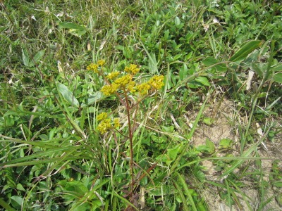 e0110940_2211653.jpg