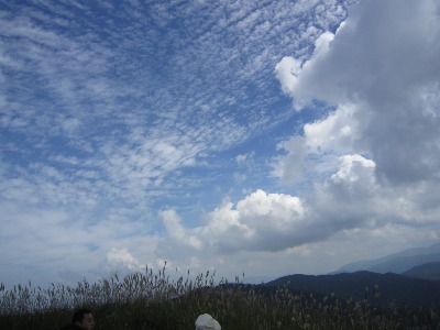 e0110940_2219382.jpg