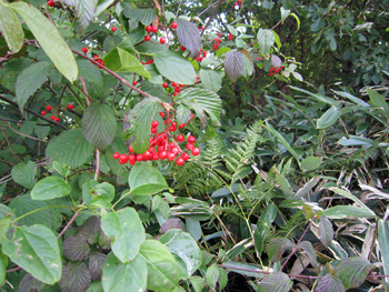 e0110940_22275290.jpg