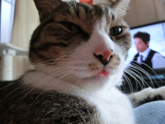 c0194042_2013061.jpg