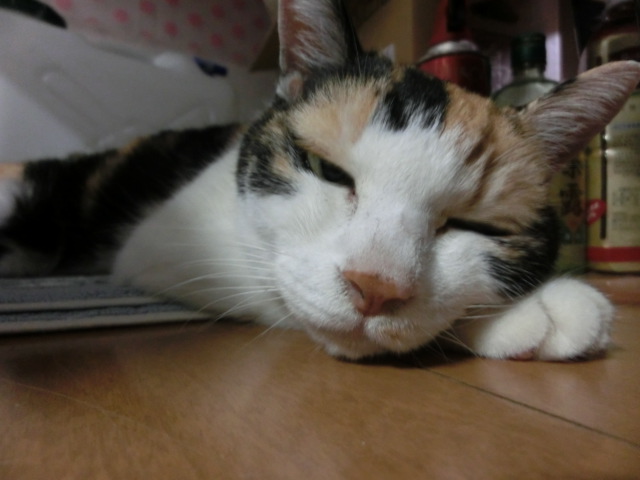 c0194042_20263769.jpg