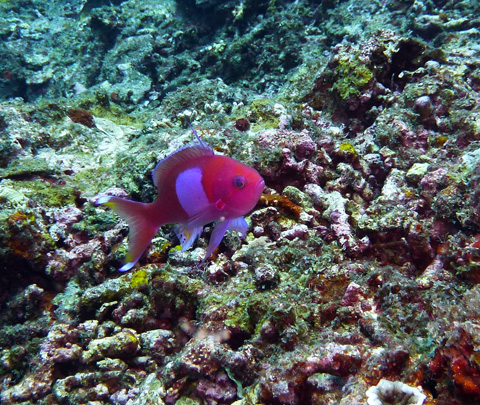 f0014842_1843834.jpg