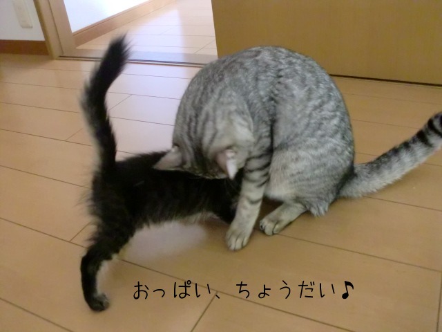 c0259945_1334136.jpg