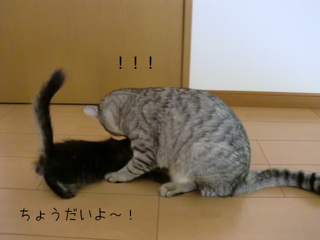 c0259945_1335886.jpg