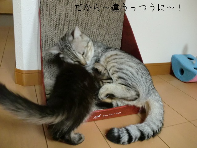 c0259945_1351056.jpg