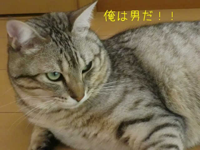c0259945_1354312.jpg