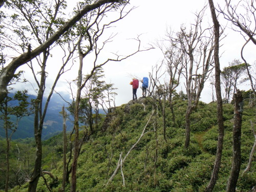 c0179351_1864695.jpg