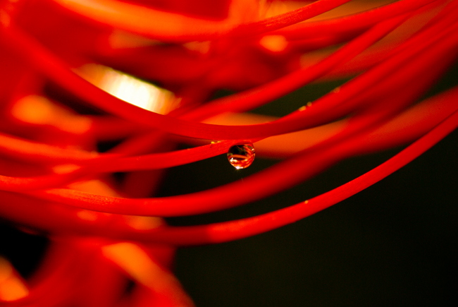 f0176353_20263014.jpg