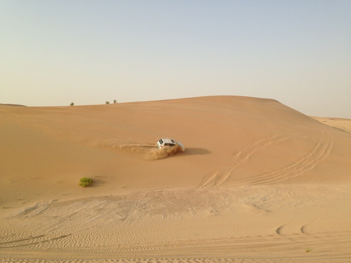 b0002156_2465427.jpg