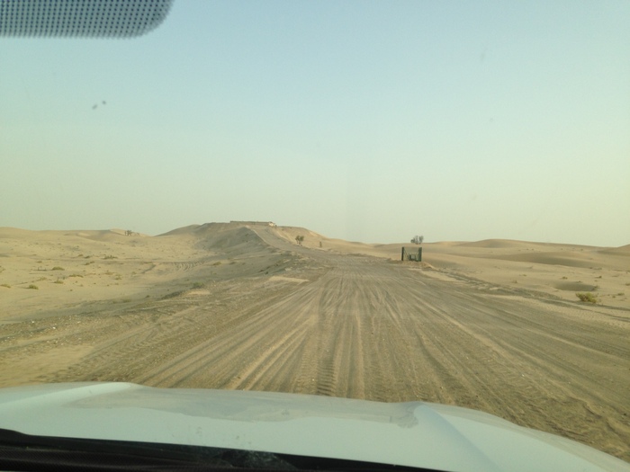 b0002156_2474384.jpg