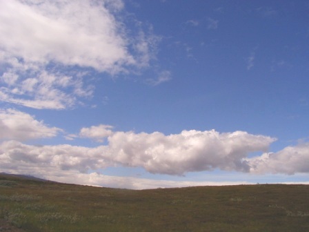 f0257756_157569.jpg