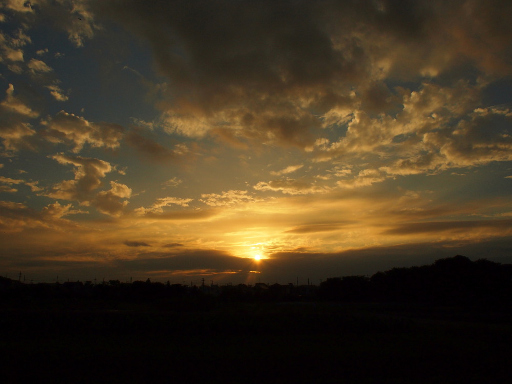 a0073065_21271170.jpg