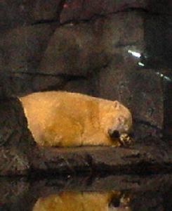c0100865_23324967.jpg