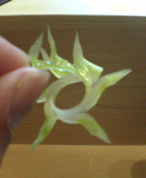 c0100865_529428.jpg