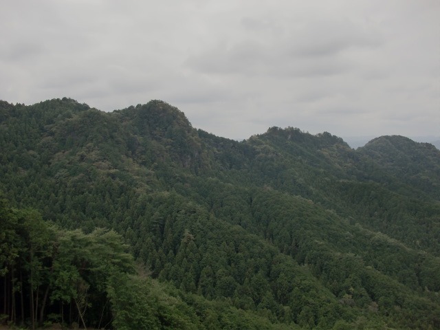 d0010065_20195072.jpg