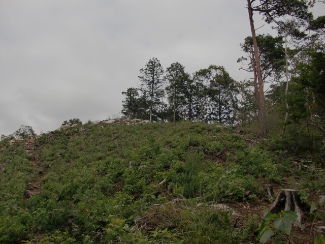 d0010065_20195686.jpg