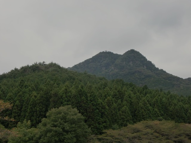 d0010065_2019779.jpg