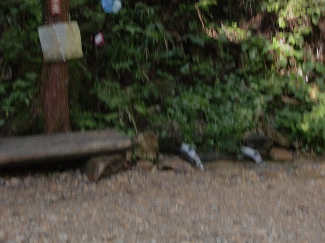 d0010065_20201655.jpg