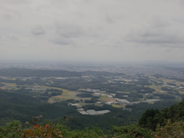d0010065_2020295.jpg