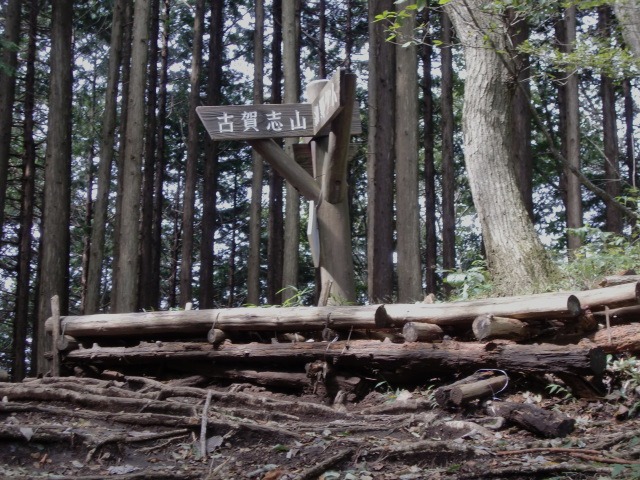 d0010065_202091.jpg