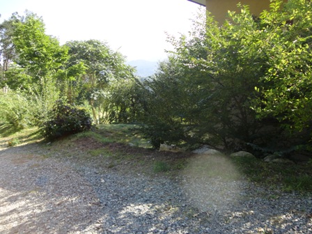 d0152765_19251639.jpg