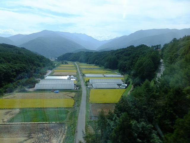 e0078069_10222855.jpg