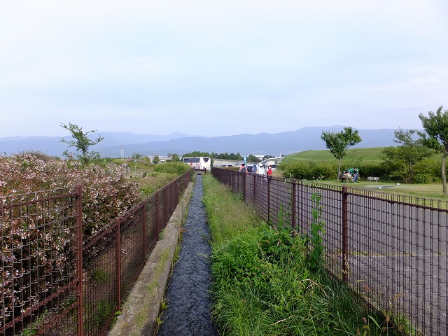 e0078069_12171626.jpg