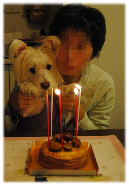 b0242873_1152247.png