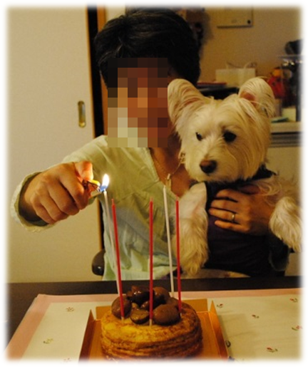 b0242873_115616.png