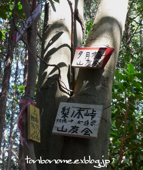 c0019376_9293460.jpg
