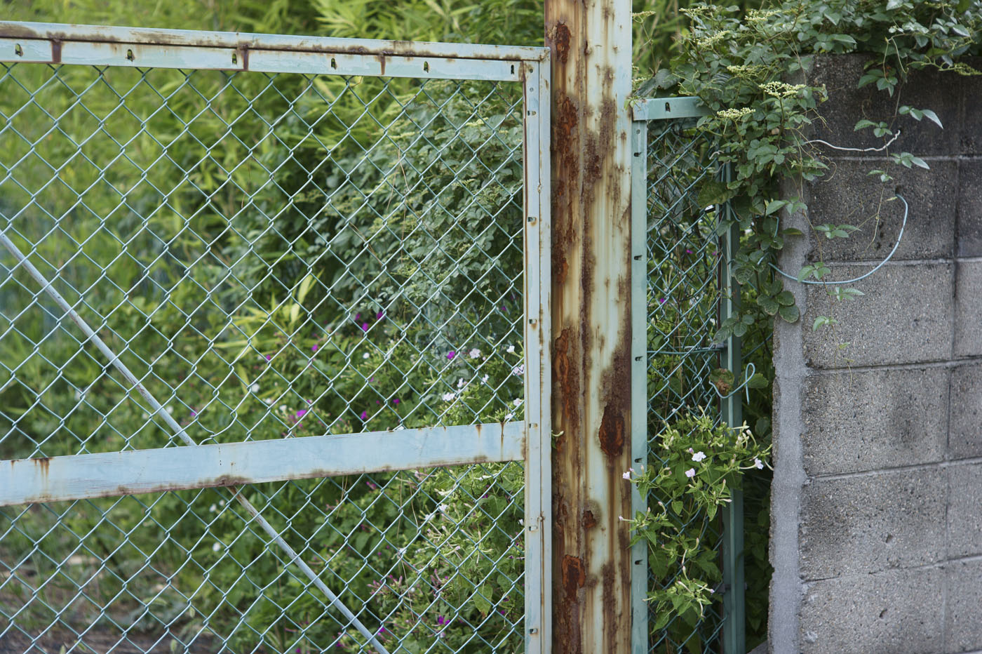 d0286980_27864.jpg