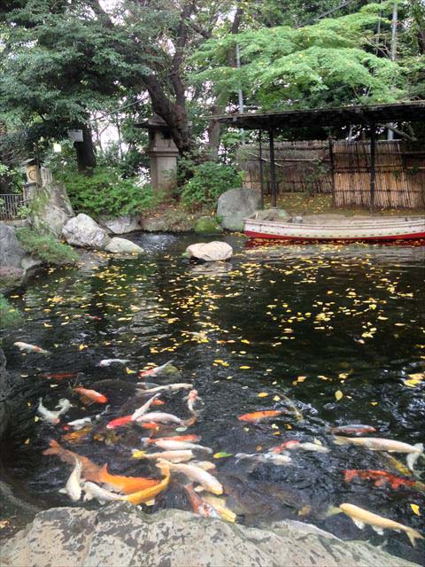 f0167281_15282160.jpg