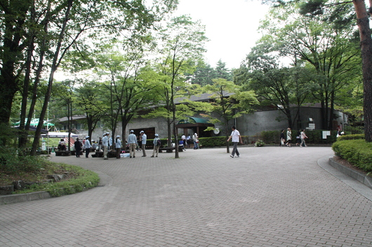 a0216086_242287.jpg