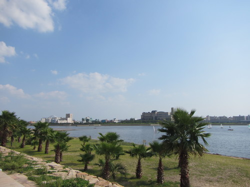 a0251786_22221437.jpg