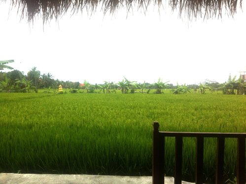 a0154887_9592238.jpg