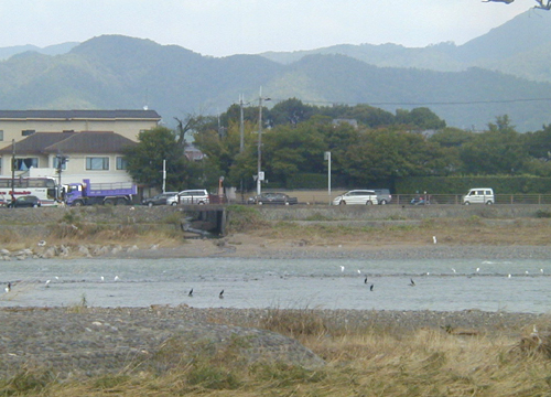 d0053294_234101.jpg
