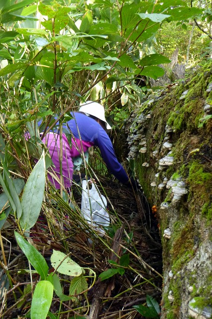 e0137200_22155917.jpg