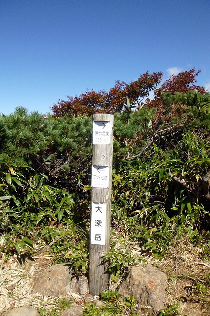 e0137200_2225262.jpg