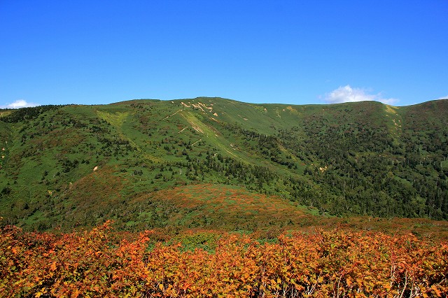 e0137200_22283124.jpg
