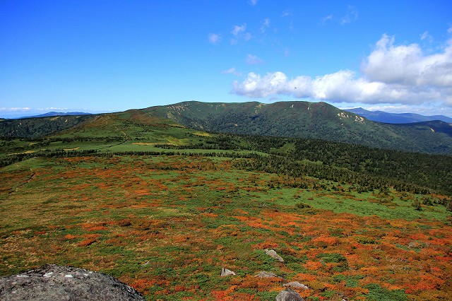 e0137200_2233154.jpg