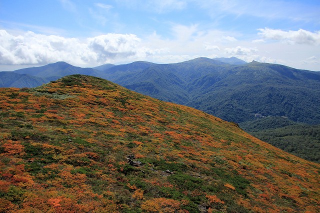 e0137200_2233204.jpg