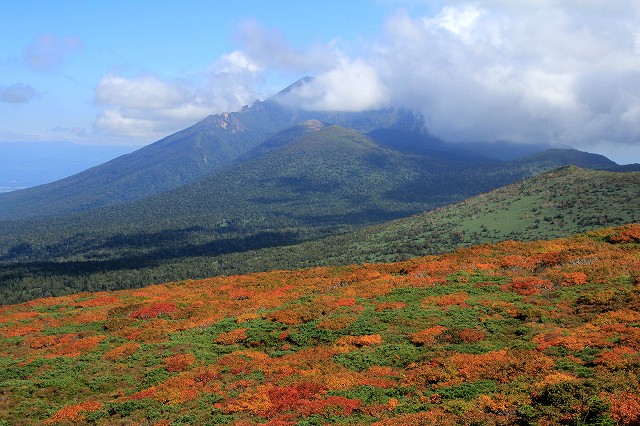 e0137200_22333638.jpg