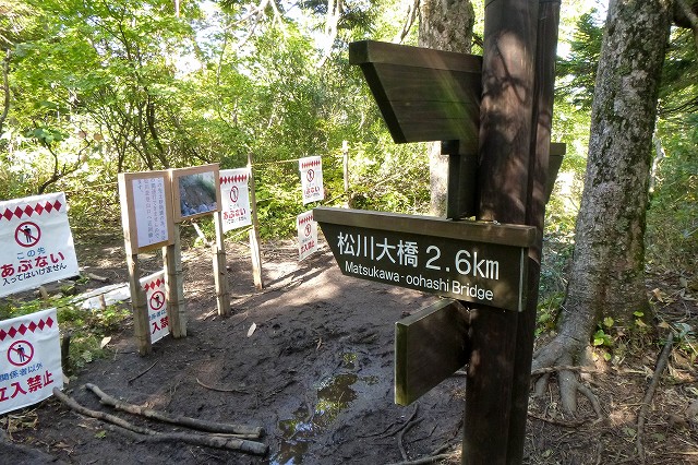 e0137200_22344244.jpg