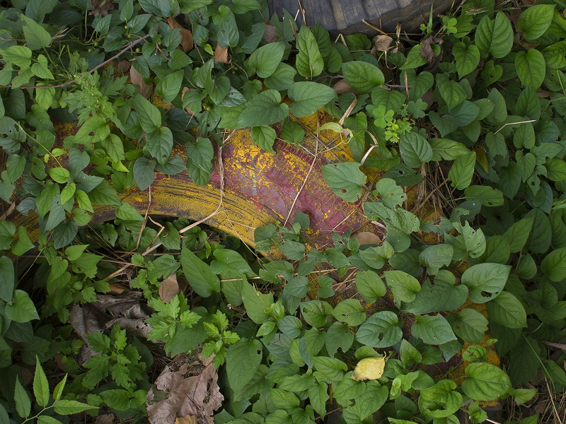 f0224100_714739.jpg