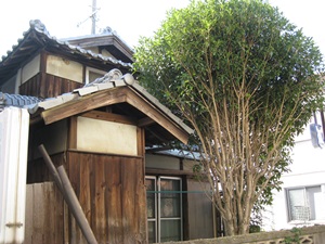 d0240201_12244771.jpg