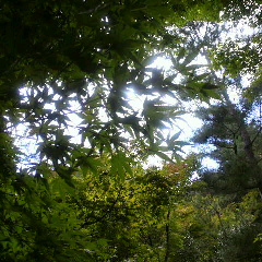 e0175702_2354572.jpg