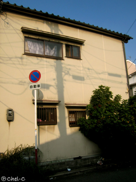 a0154706_655633.jpg