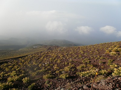a0098510_18405578.jpg